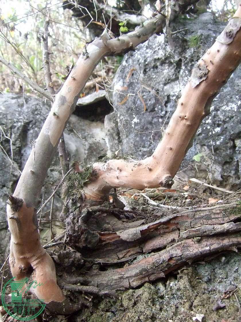 ȸ2.jpg