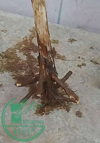 20170119_180252_mh1484823356940.jpg