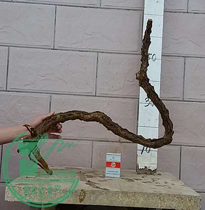 20170118_180742_mh1484737399123.jpg