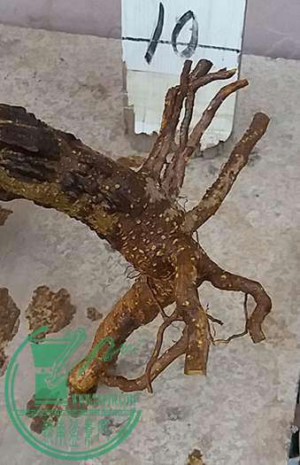 20170118_180729_mh1484737383516.jpg