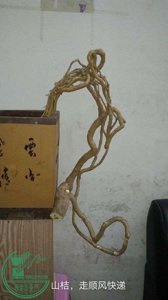 QQͼƬ20170120203301.jpg