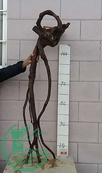 20170122_181609_mh1485083078191.jpg