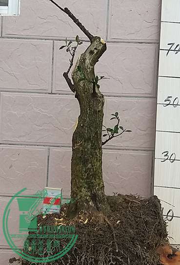 20170124_113832_mh1485232094411.jpg