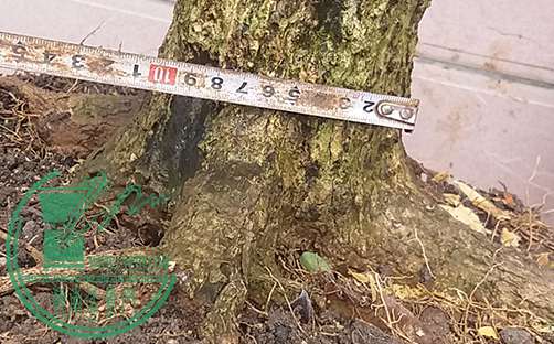20170124_114100_mh1485261533653.jpg
