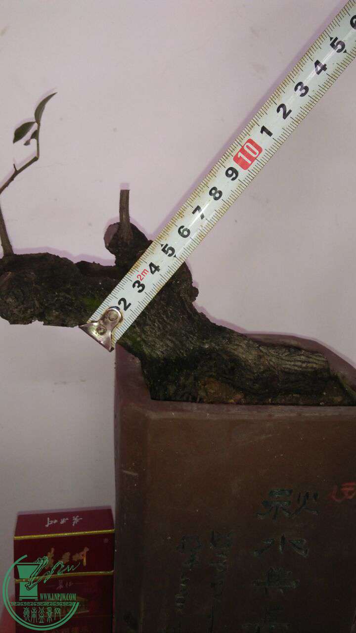 QQͼƬ20170131210320.jpg