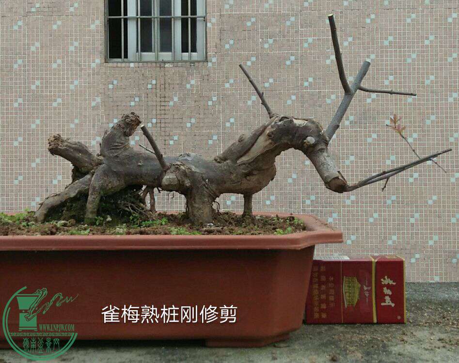 QQͼƬ20170131210239.jpg