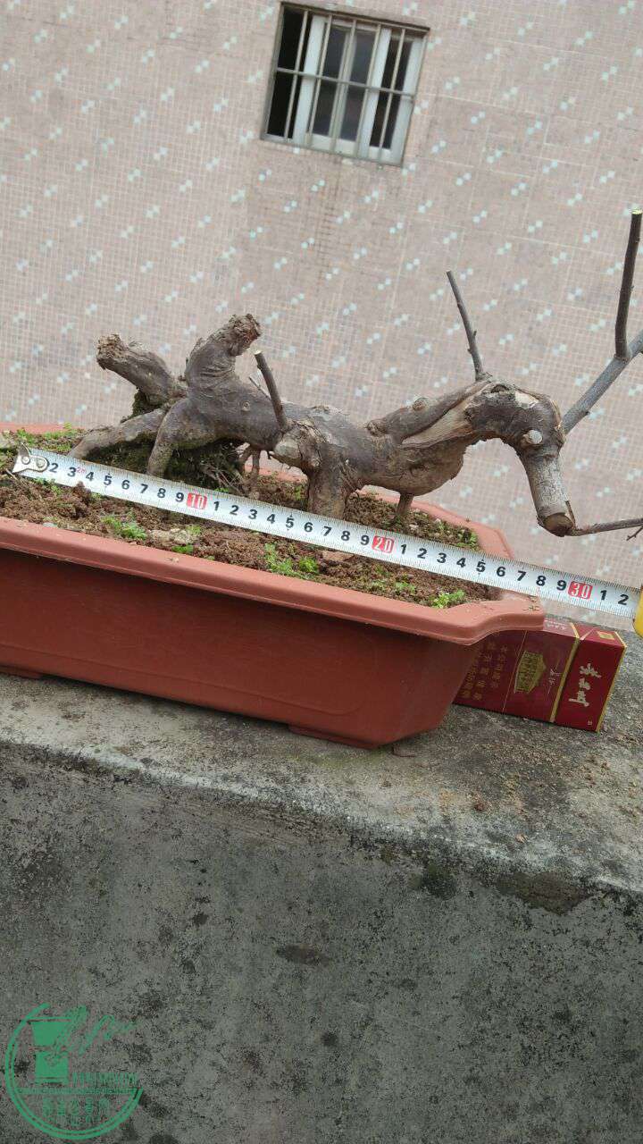 QQͼƬ20170131210339.jpg