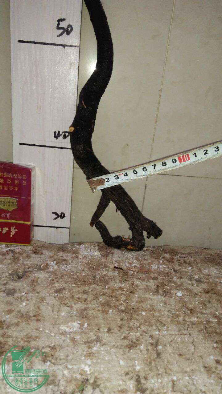 QQͼƬ20170202205938.jpg