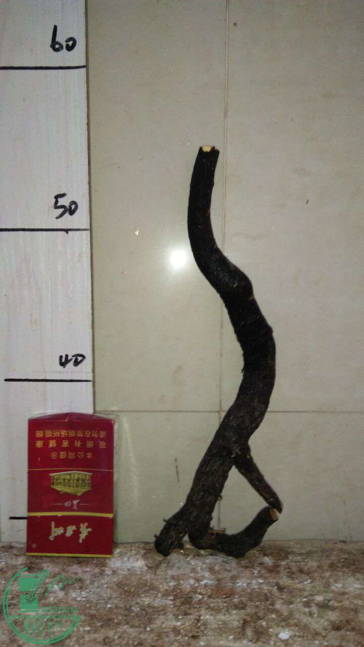 QQͼƬ20170202205923.jpg