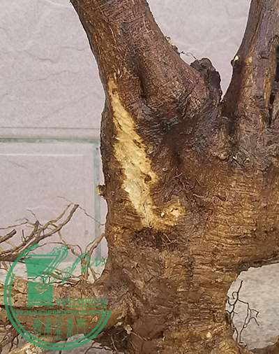 20170203_172818_mh1486117945647.jpg