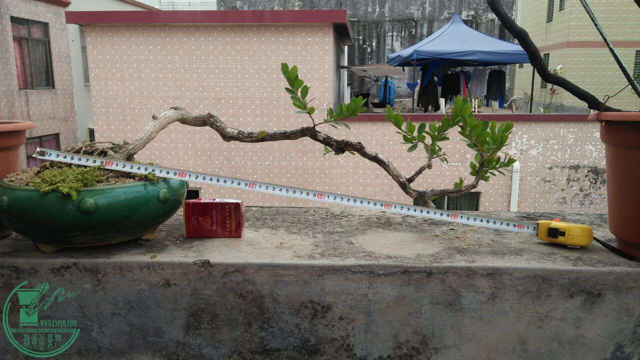 QQͼƬ20170203204811.jpg