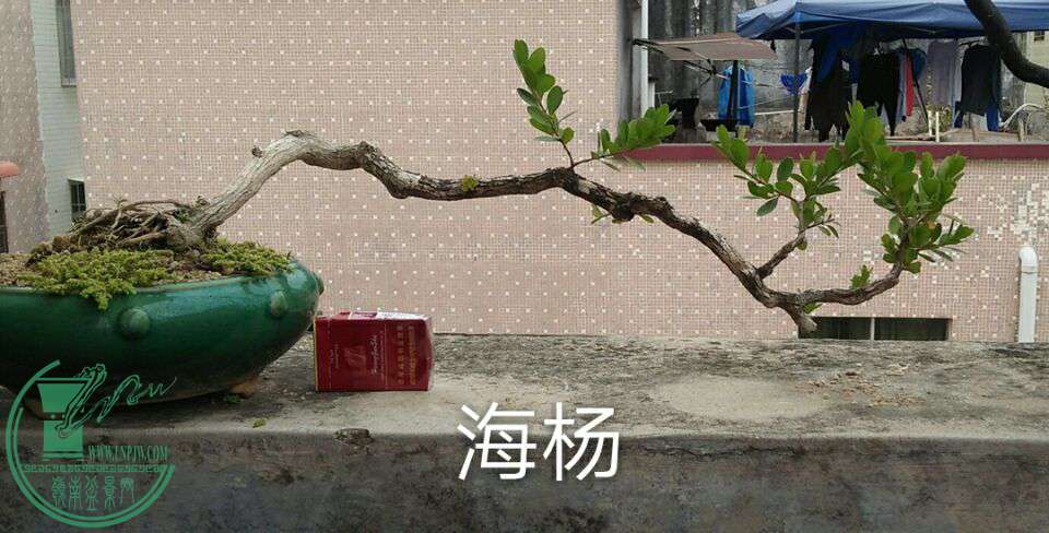 QQͼƬ20170203204759.jpg