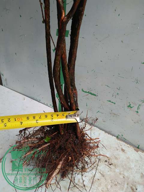 IMG20170203105623.jpg