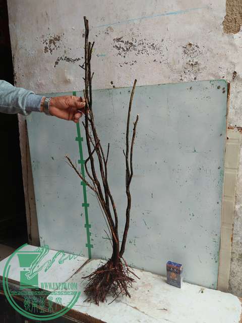 IMG20170203105656.jpg