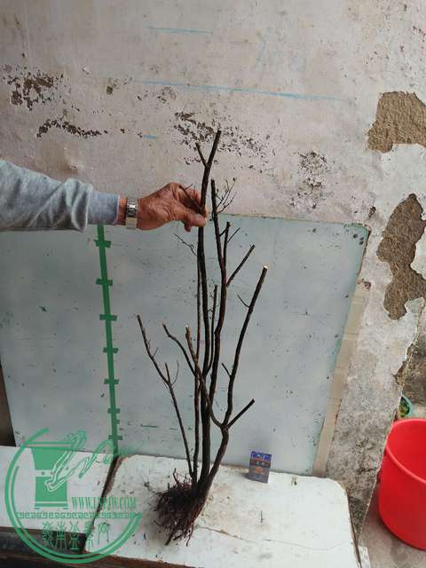 IMG20170203105727.jpg