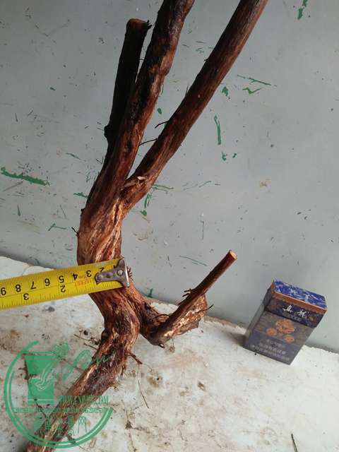 IMG20170203105915.jpg