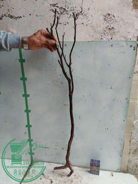 IMG20170203105932.jpg