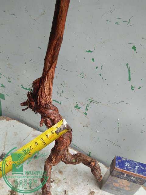 IMG20170203110043.jpg