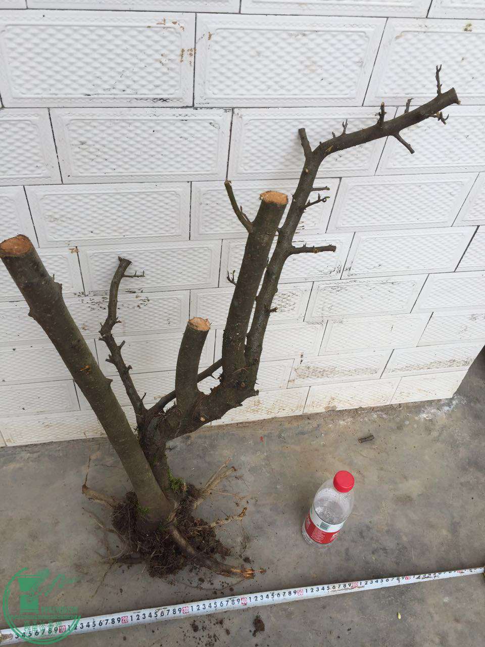 18.jpg