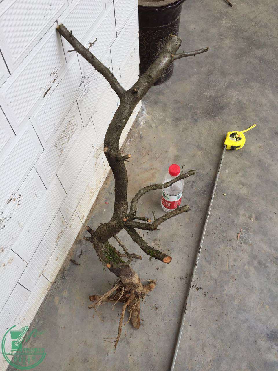 25.jpg