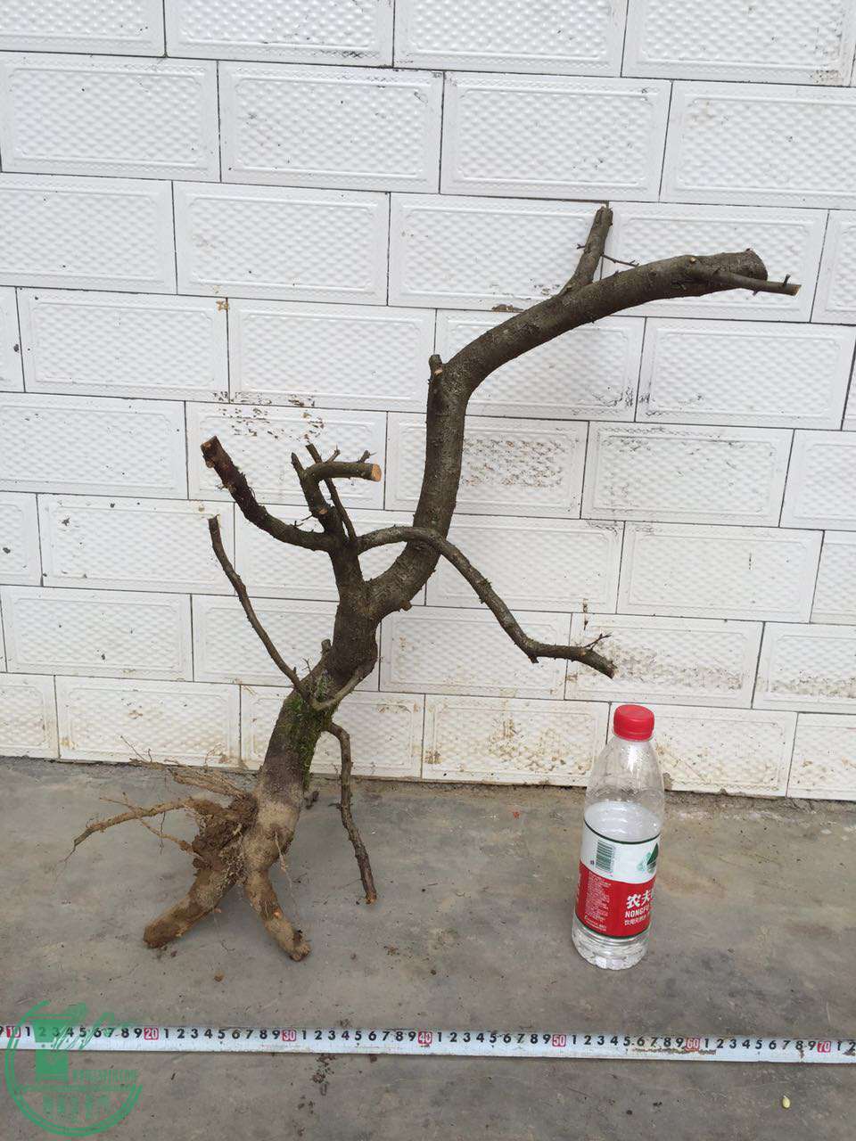 26.jpg