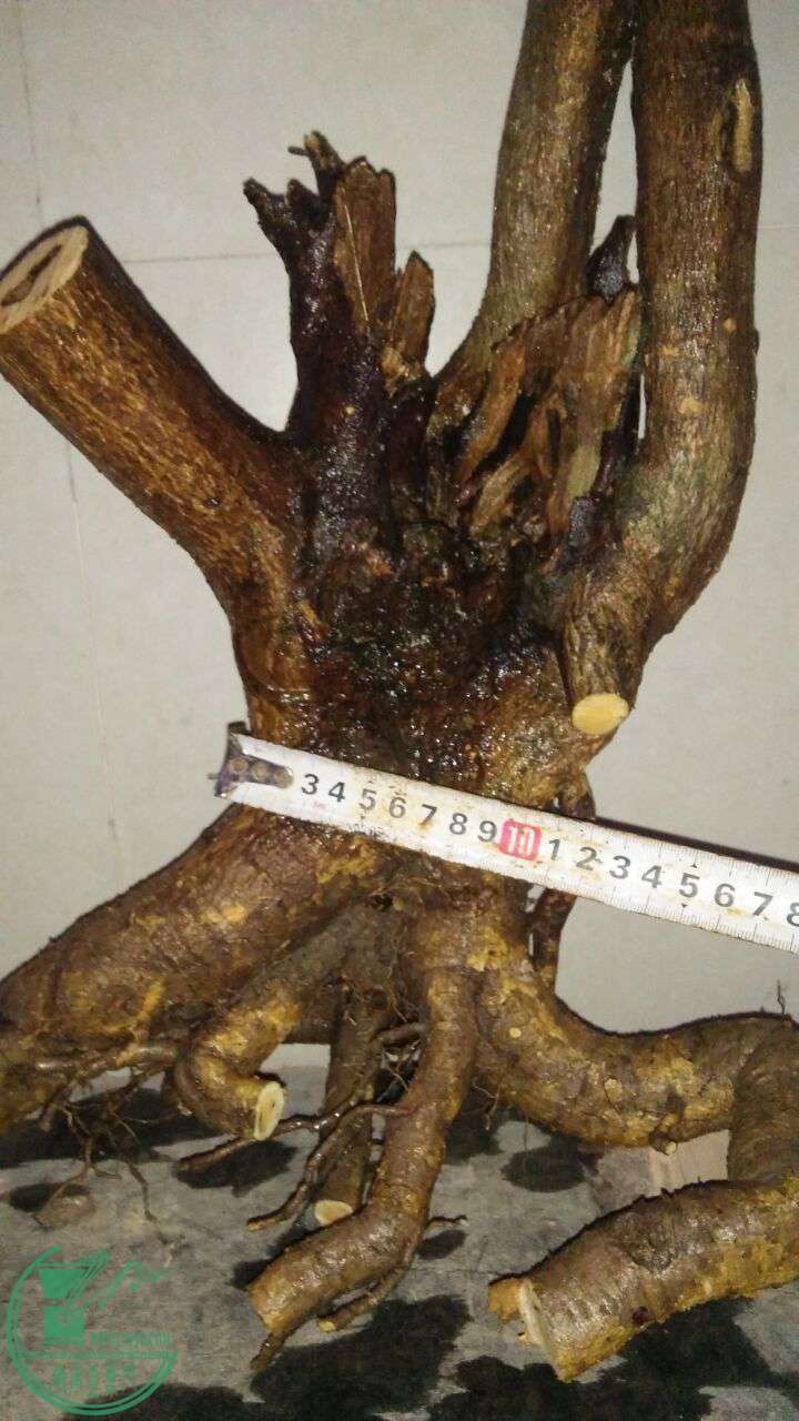 QQͼƬ20170205192939.jpg