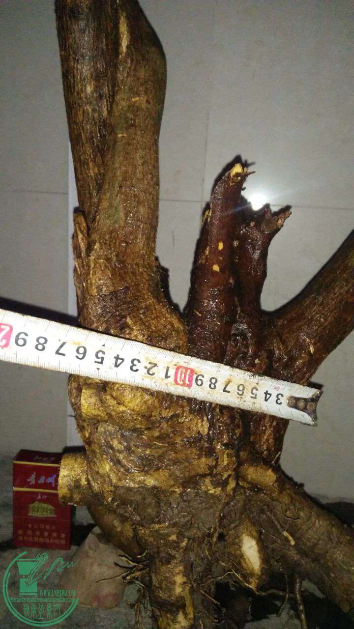 QQͼƬ20170205192801.jpg