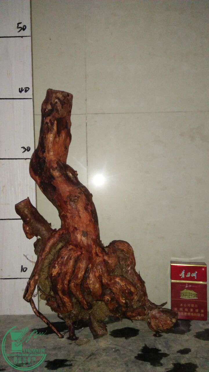 QQͼƬ20170205192747.jpg
