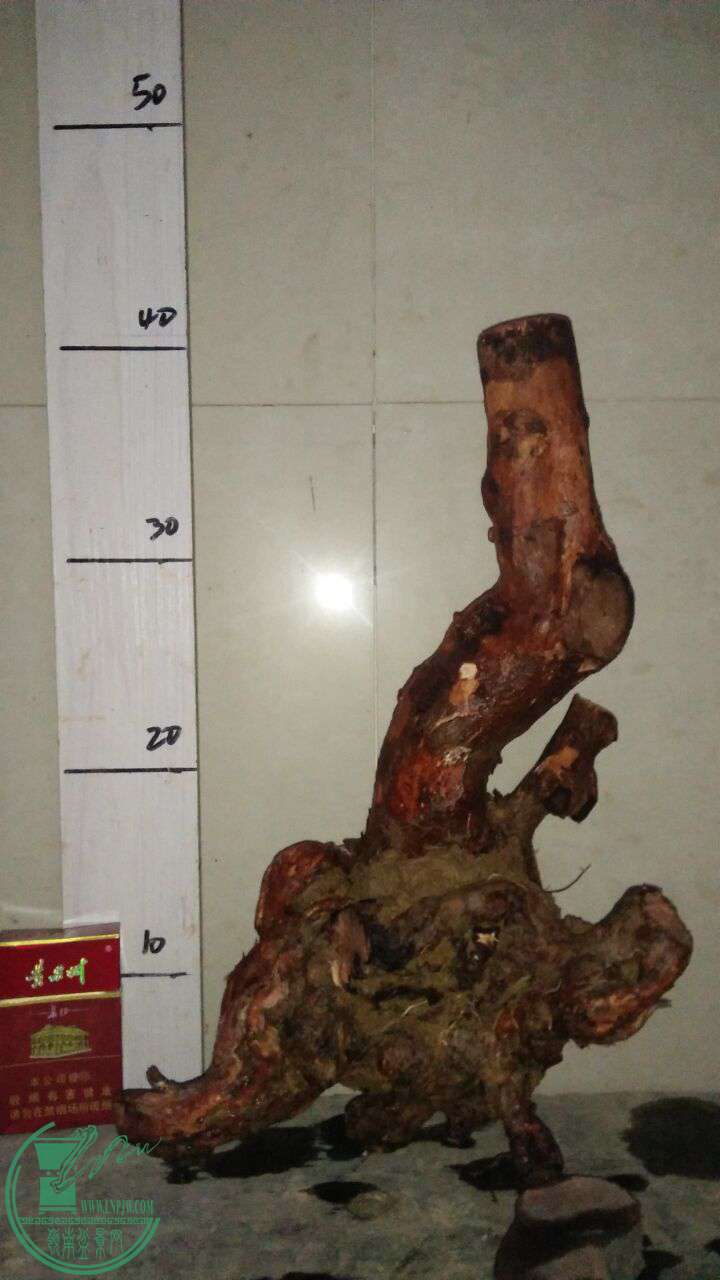 QQͼƬ20170205192931.jpg