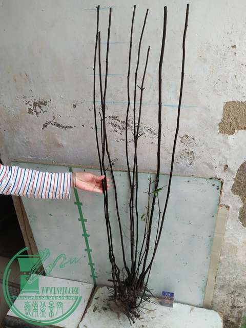 IMG20170204111624.jpg