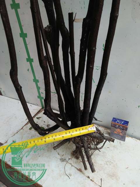 IMG20170204111538.jpg