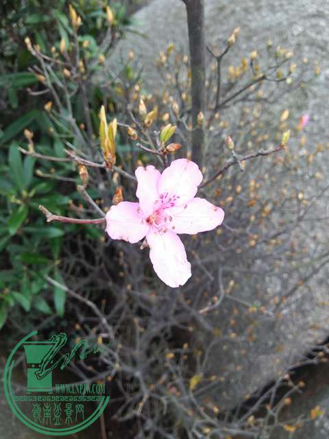 IMG20170204152235.jpg