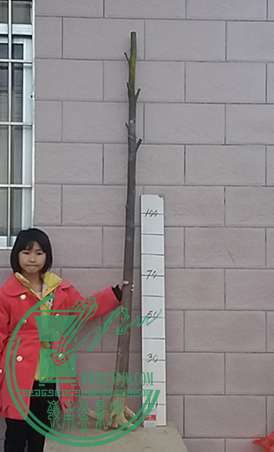 20170206_172149_mh1486379786568.jpg
