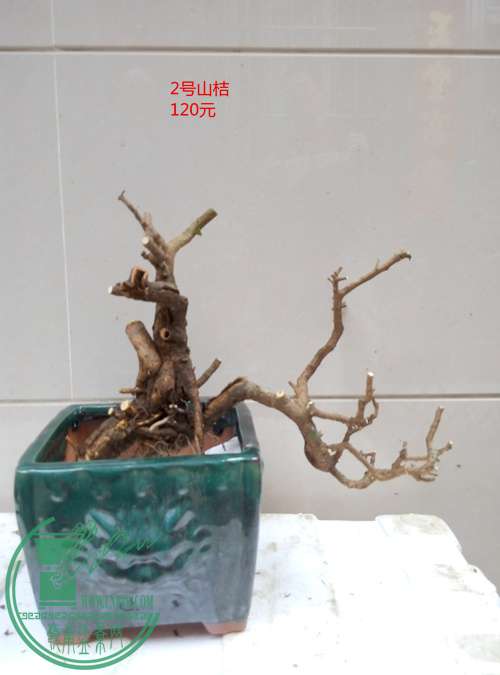 P70206-163945_.jpg