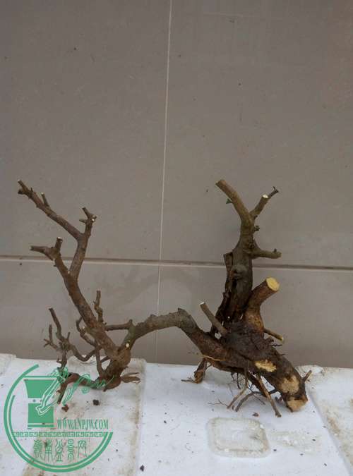 P70206-163645_.jpg