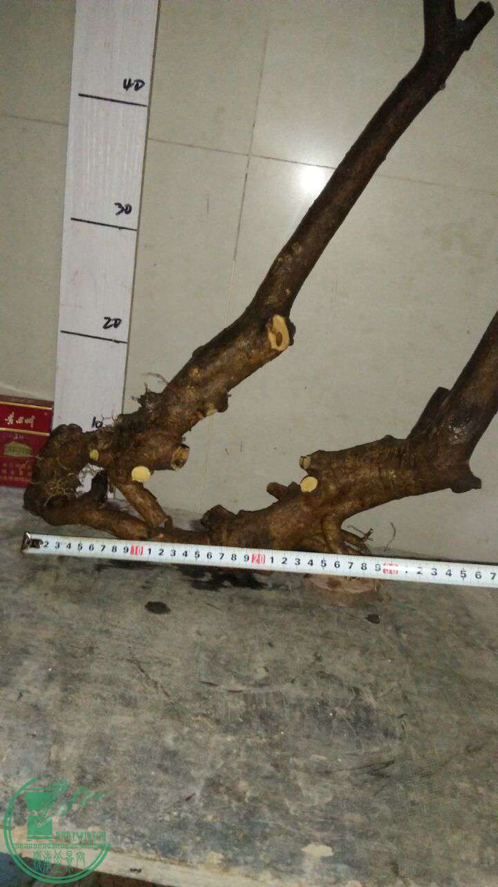 QQͼƬ20170206192921.jpg