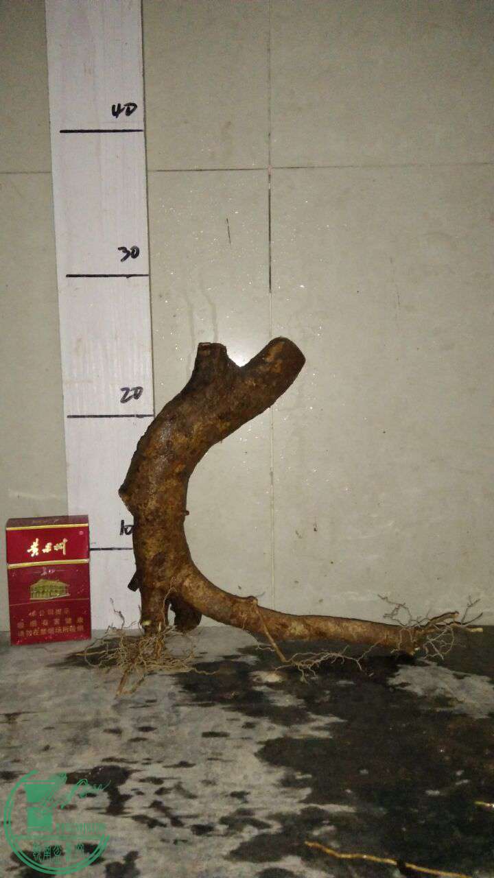 QQͼƬ20170206192911.jpg