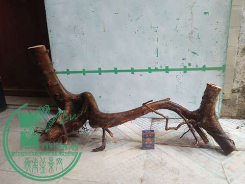 IMG20170206090531.jpg