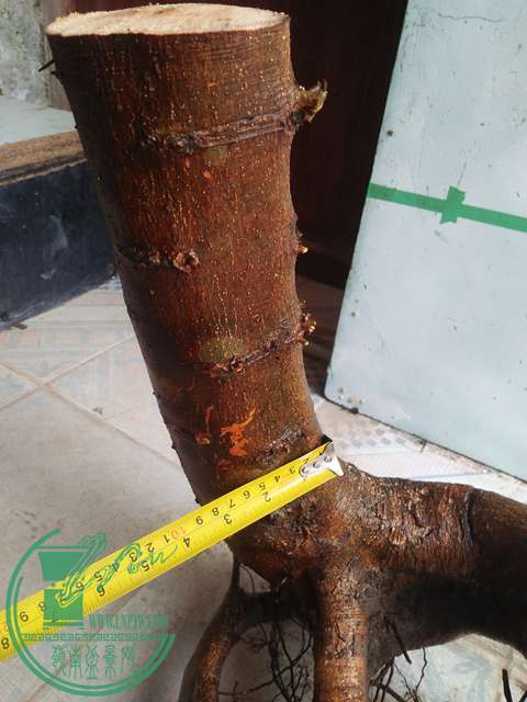 IMG20170206090606.jpg
