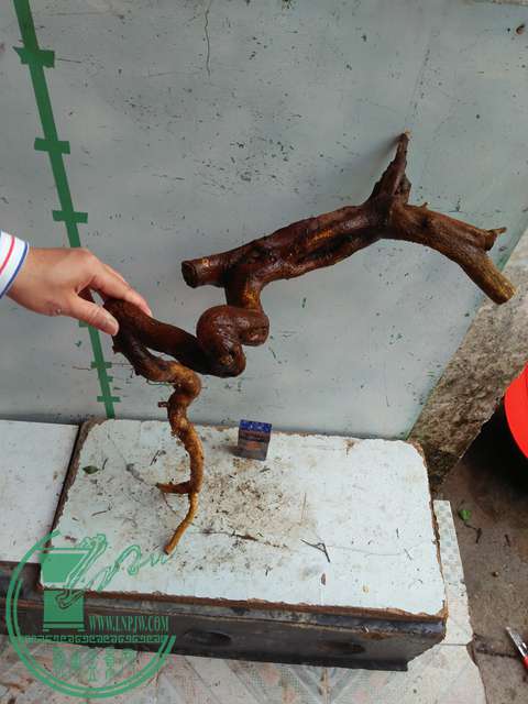 IMG20170206091447.jpg
