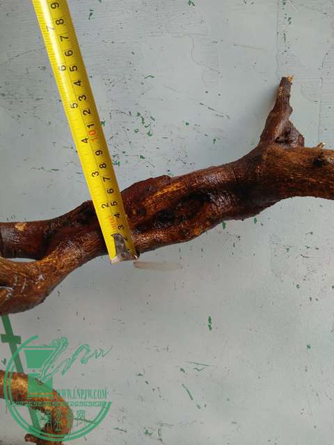 IMG20170206091500.jpg