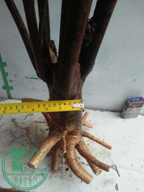 IMG20170206090953.jpg