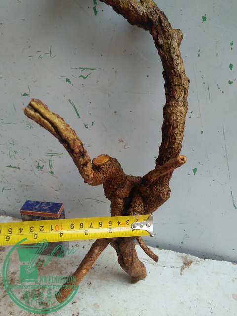 IMG20170206091247.jpg