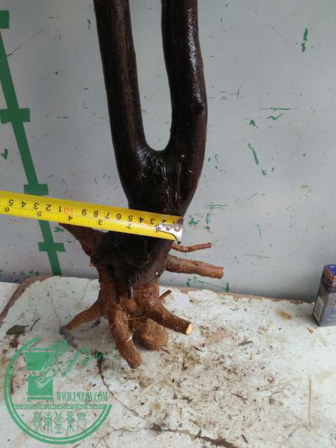 IMG20170206092512.jpg