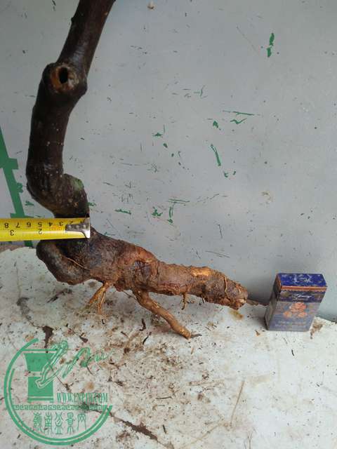IMG20170206092652.jpg