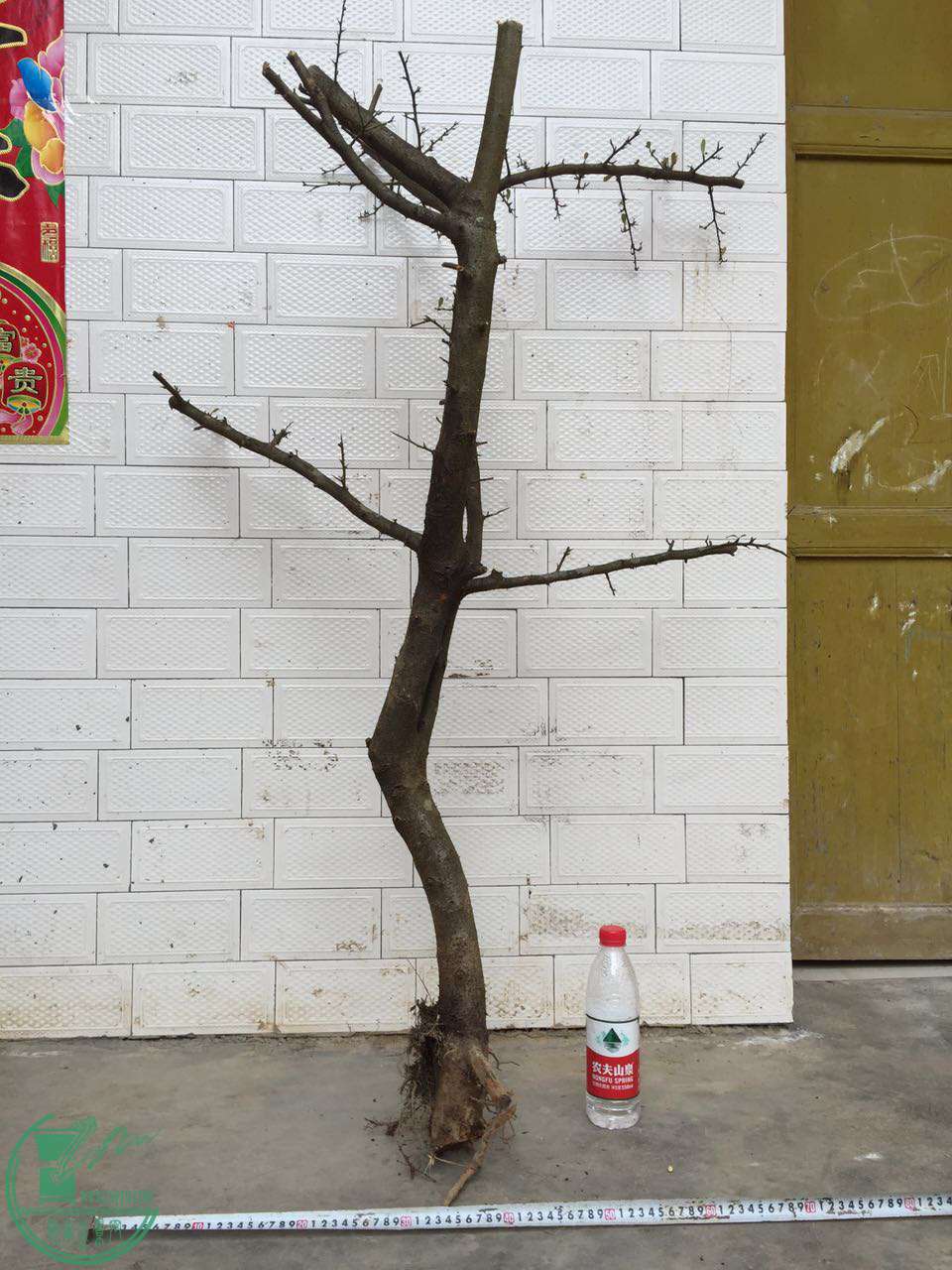 35.jpg