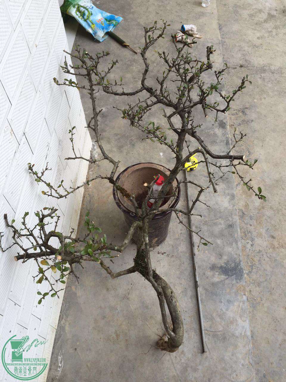 30.jpg
