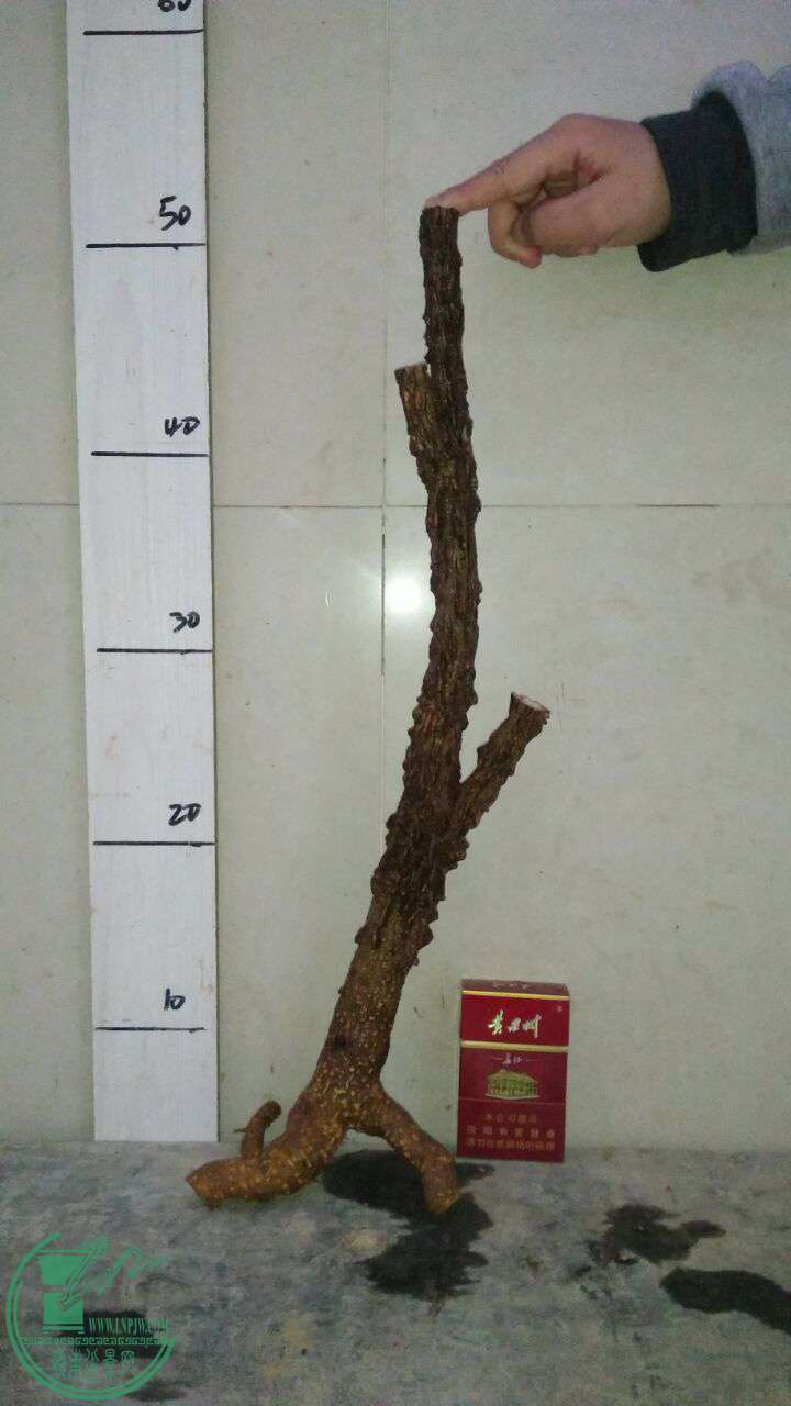 QQͼƬ20170207212220.jpg