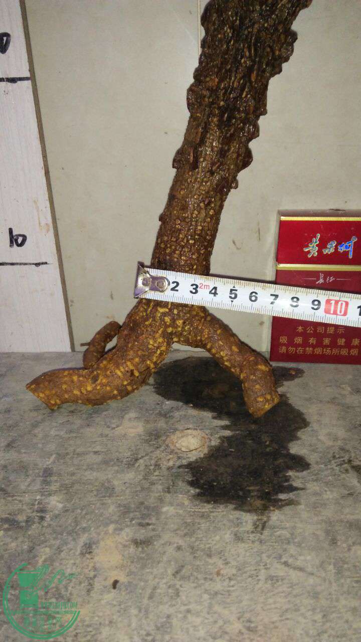 QQͼƬ20170207212229.jpg