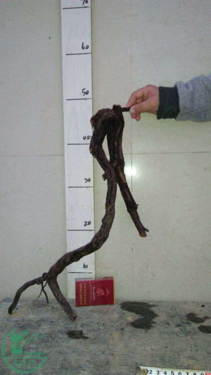 QQͼƬ20170207212210.jpg
